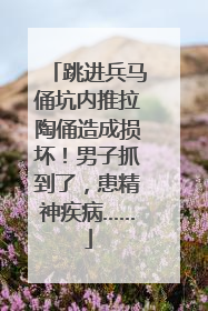 跳进兵马俑坑内推拉陶俑造成损坏！男子抓到了，患精神疾病……