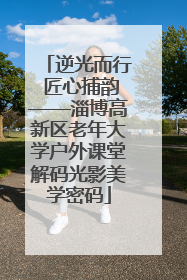 逆光而行 匠心捕韵——淄博高新区老年大学户外课堂解码光影美学密码