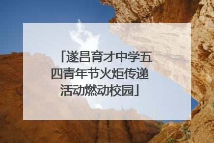 遂昌育才中学五四青年节火炬传递活动燃动校园