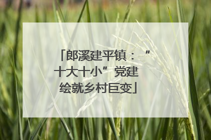 郎溪建平镇：“十大十小”党建 绘就乡村巨变