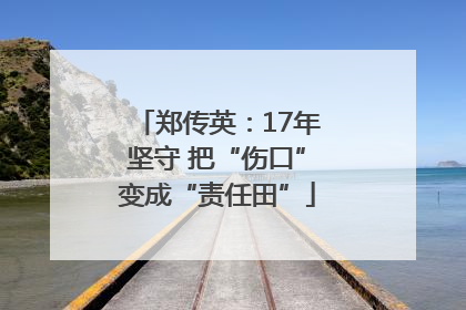 郑传英：17年坚守 把“伤口”变成“责任田”