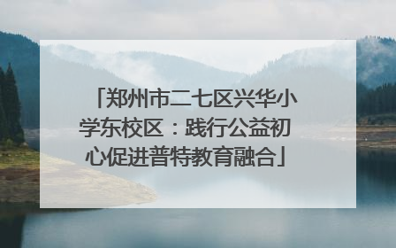 郑州市二七区兴华小学东校区：践行公益初心促进普特教育融合