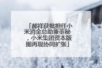 郝祥获批担任小米消金总助兼董秘，小米集团资本版图再现协同扩张