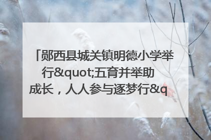 郧西县城关镇明德小学举行"五育并举助成长，人人参与逐梦行"庆六一活动