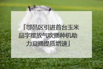 鄠邑区引进首台玉米品字摆放气吹播种机助力夏播提质增速