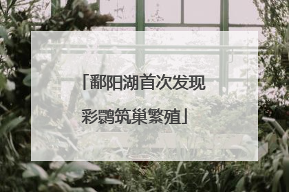 鄱阳湖首次发现彩鹮筑巢繁殖