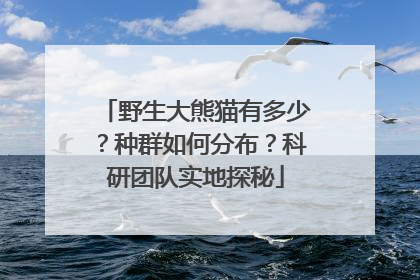野生大熊猫有多少？种群如何分布？科研团队实地探秘