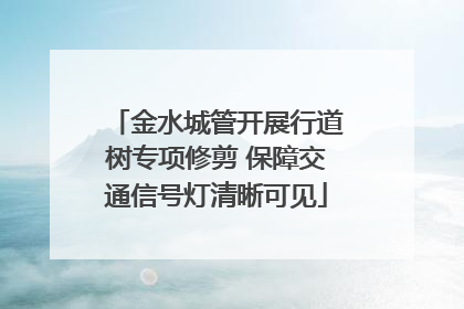 金水城管开展行道树专项修剪 保障交通信号灯清晰可见