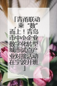 青甬联动，乘“数”而上！青岛市中小企业数字化转型城市试点产业对接活动在宁波开班