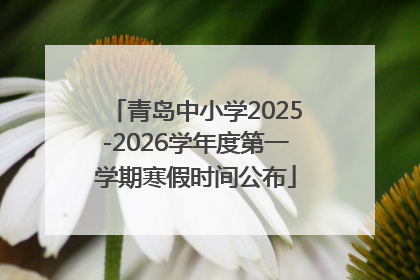 青岛中小学2025-2026学年度第一学期寒假时间公布