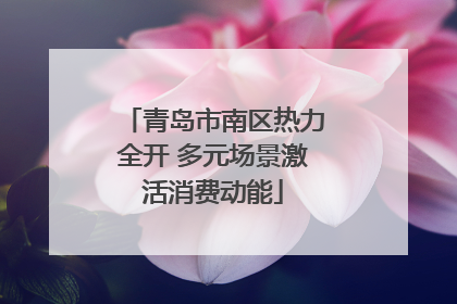 青岛市南区热力全开 多元场景激活消费动能