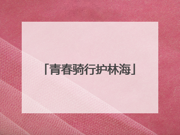 青春骑行护林海
