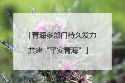 青海多部门持久发力共建“平安青海”