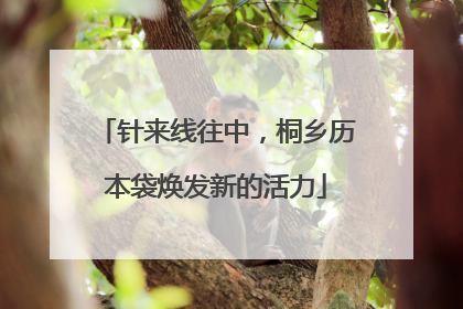 针来线往中，桐乡历本袋焕发新的活力