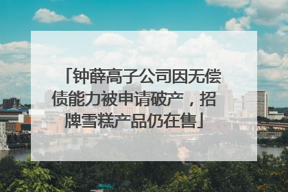 钟薛高子公司因无偿债能力被申请破产，招牌雪糕产品仍在售