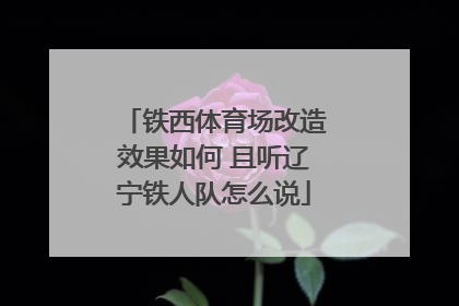铁西体育场改造效果如何 且听辽宁铁人队怎么说