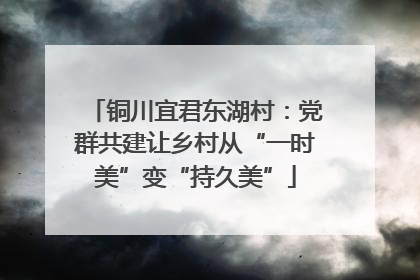 铜川宜君东湖村：党群共建让乡村从“一时美”变“持久美”