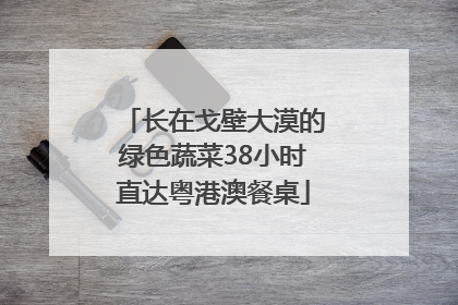 长在戈壁大漠的绿色蔬菜38小时直达粤港澳餐桌