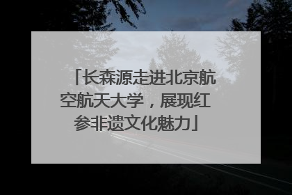 长森源走进北京航空航天大学，展现红参非遗文化魅力