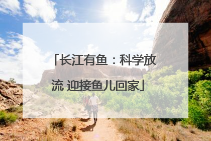 长江有鱼：科学放流 迎接鱼儿回家