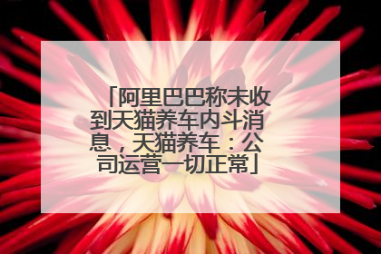 阿里巴巴称未收到天猫养车内斗消息，天猫养车：公司运营一切正常