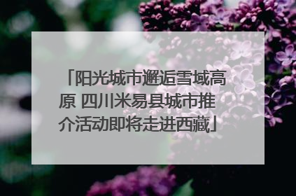 阳光城市邂逅雪域高原 四川米易县城市推介活动即将走进西藏