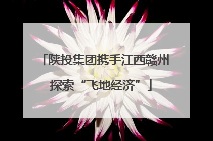 陕投集团携手江西赣州 探索“飞地经济”
