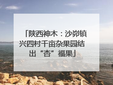 陕西神木：沙峁镇兴四村千亩杂果园结出“杏”福果