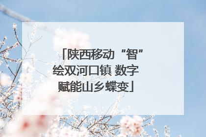 陕西移动“智”绘双河口镇 数字赋能山乡蝶变