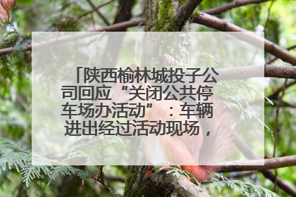 陕西榆林城投子公司回应“关闭公共停车场办活动”：车辆进出经过活动现场，为安全临时关闭