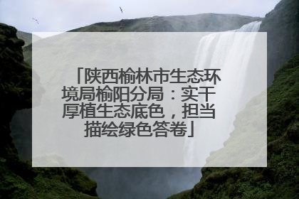 陕西榆林市生态环境局榆阳分局：实干厚植生态底色，担当描绘绿色答卷