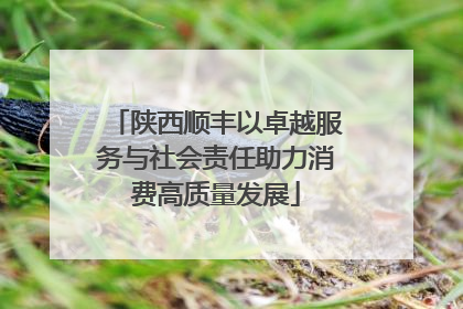 陕西顺丰以卓越服务与社会责任助力消费高质量发展