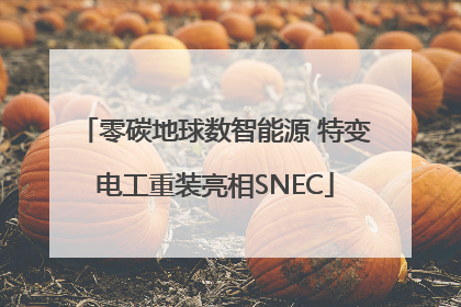 零碳地球数智能源 特变电工重装亮相SNEC