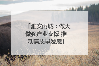 雅安雨城：做大做强产业支撑 推动高质量发展
