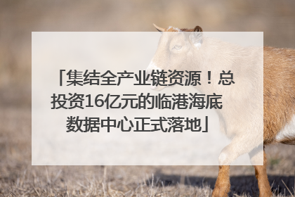 集结全产业链资源！总投资16亿元的临港海底数据中心正式落地