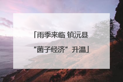 雨季来临 镇沅县“菌子经济”升温