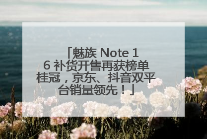 魅族 Note 16 补货开售再获榜单桂冠，京东、抖音双平台销量领先！