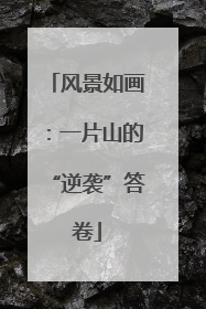 风景如画：一片山的“逆袭”答卷