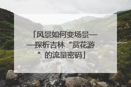 风景如何变场景——探析吉林“赏花游”的流量密码