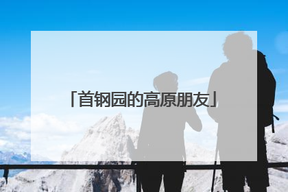 首钢园的高原朋友