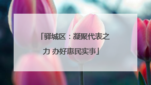 驿城区：凝聚代表之力 办好惠民实事