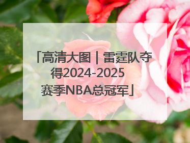 高清大图｜雷霆队夺得2024-2025赛季NBA总冠军
