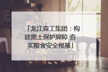 龙江森工集团：构建黑土保护屏障 夯实粮食安全根基