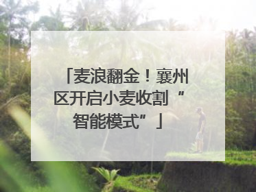 麦浪翻金！襄州区开启小麦收割“智能模式”