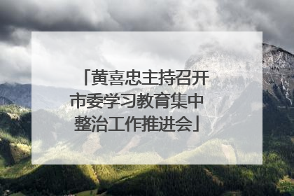 黄喜忠主持召开市委学习教育集中整治工作推进会