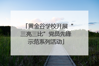 黄金谷学校开展“三亮三比”党员先锋示范系列活动