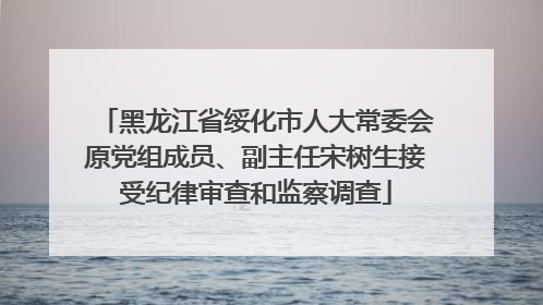 黑龙江省绥化市人大常委会原党组成员、副主任宋树生接受纪律审查和监察调查