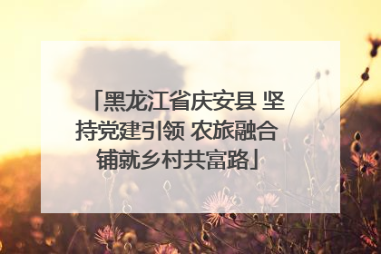 黑龙江省庆安县 坚持党建引领 农旅融合铺就乡村共富路