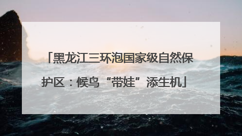 黑龙江三环泡国家级自然保护区：候鸟“带娃”添生机