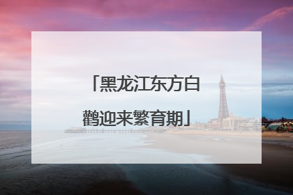 黑龙江东方白鹳迎来繁育期